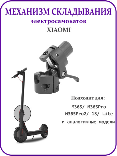 MvIa8JWjc9.jpg