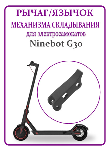 QMXfQYzJut.jpg