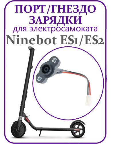 1S2PNNH081.jpg