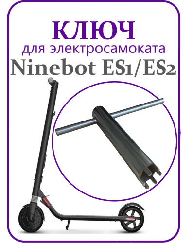 4e12iuZHqX.jpg