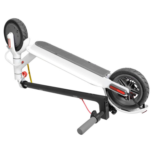 X1lMxtU4hP.jpg
